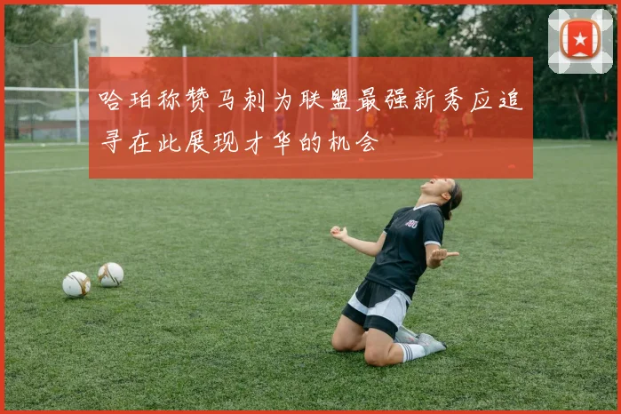 哈珀称赞马刺为联盟最强新秀应追寻在此展现才华的机会