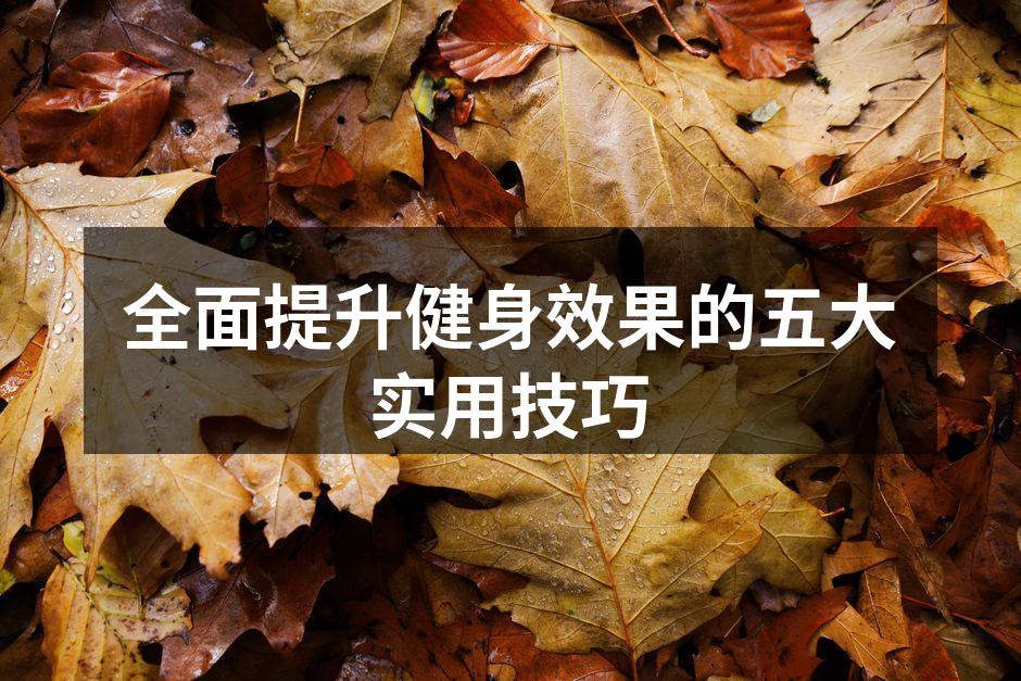 个性化健身计划草图